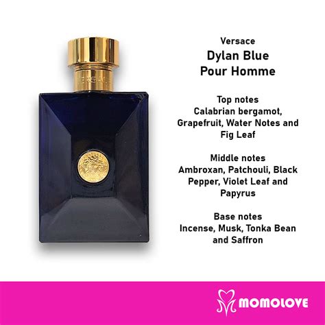 versace pour homme dylan blue notes|Versace Dylan Blue reviews.